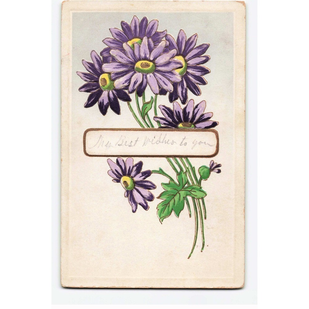 Vintage 1908 Purple Daisy Embossed Postcard My Best Wishes to You Germany